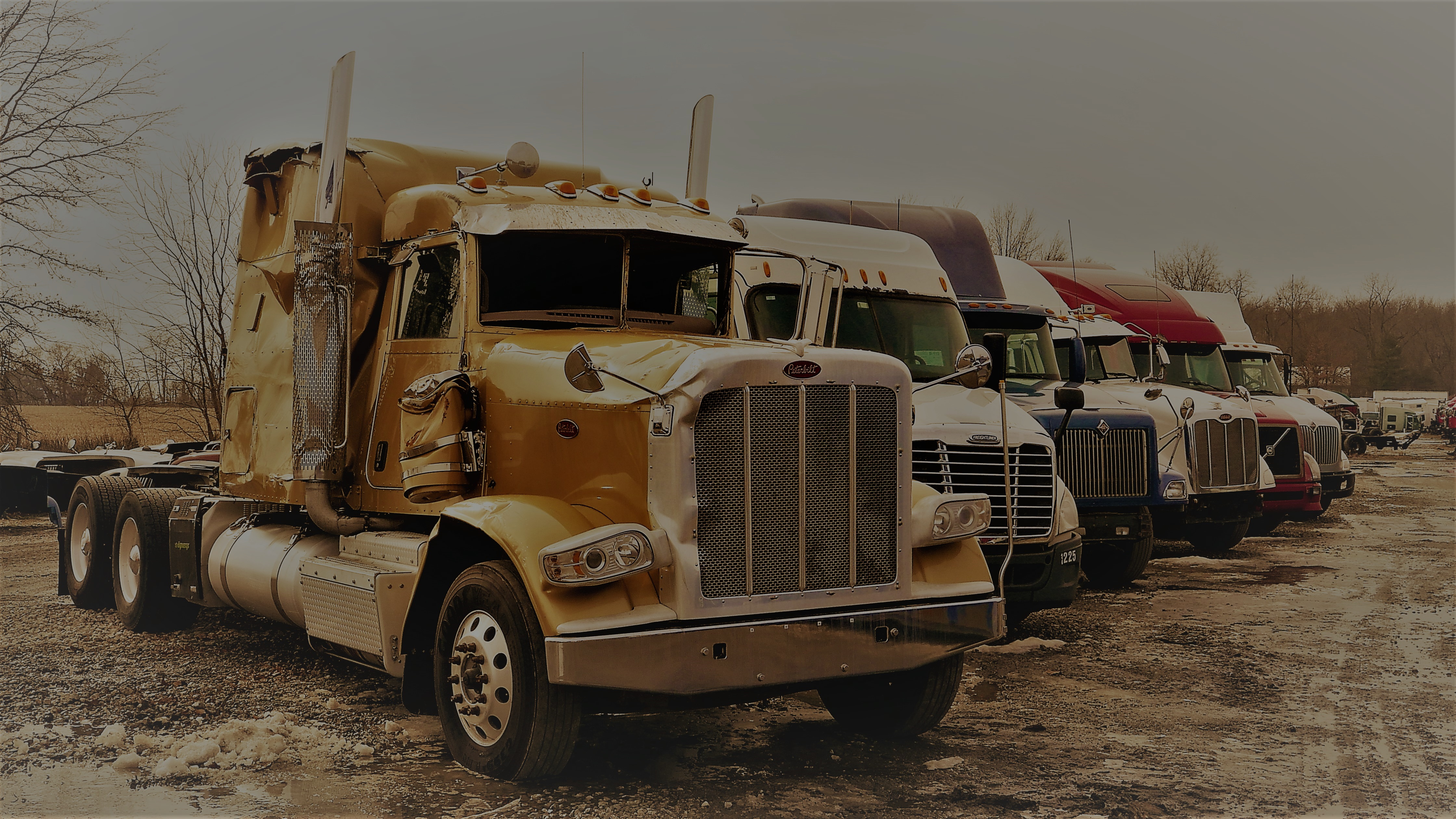 Salvage trucks awaiting dismantling